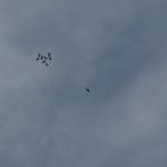 12_skydiver_in_formation.jpg