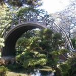19 bridge at Japanese Tea Garden in GGP
