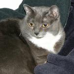 09_Zippy_in_the_dryer