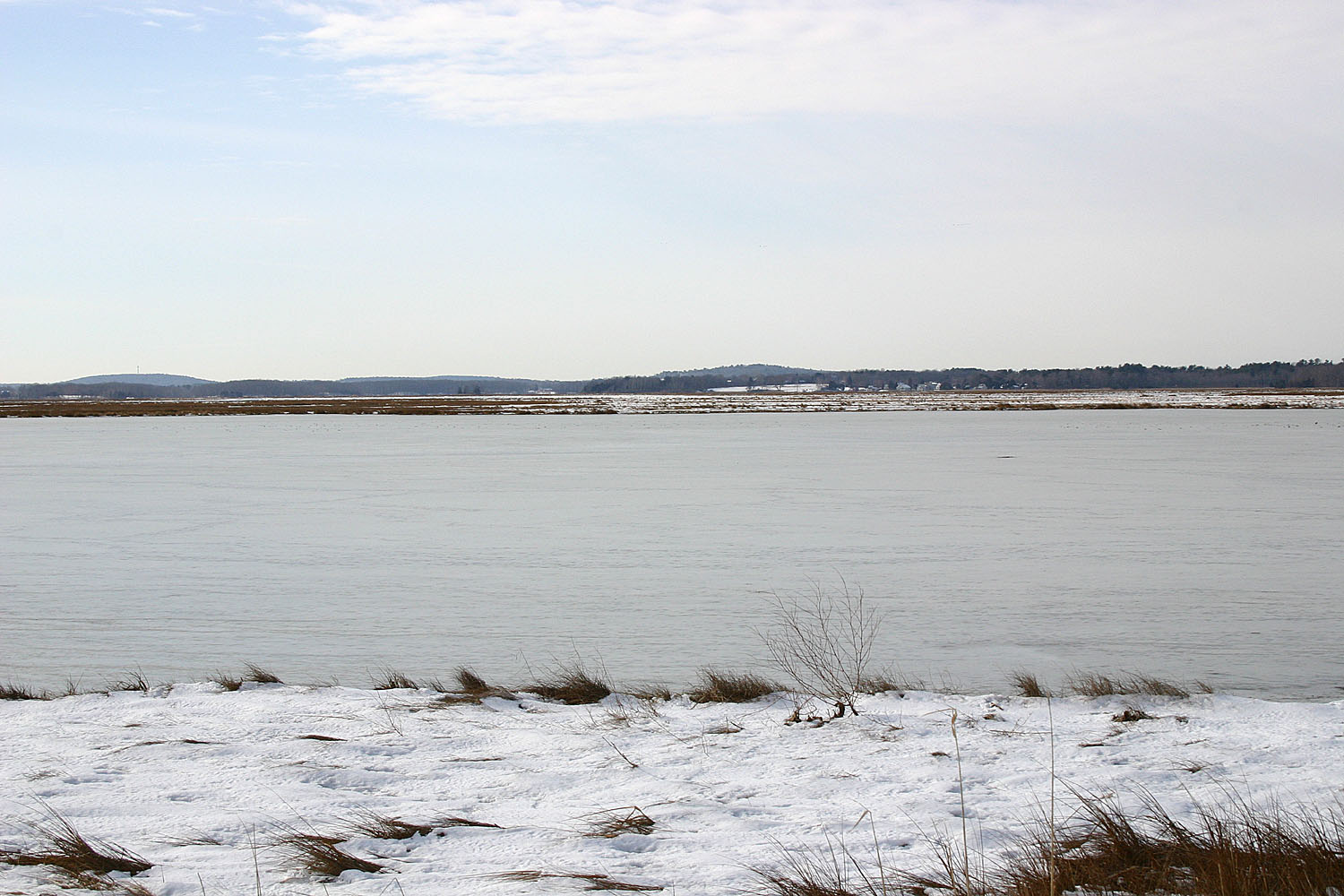 00_frozen_salt_marsh