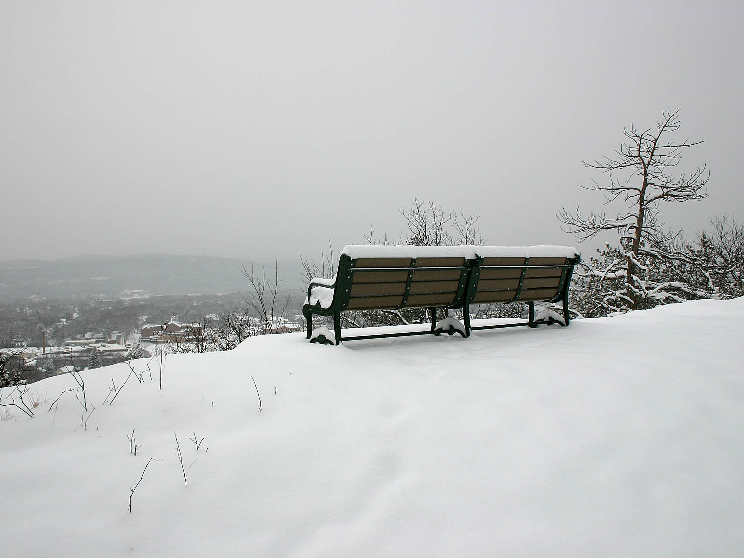 05_bench