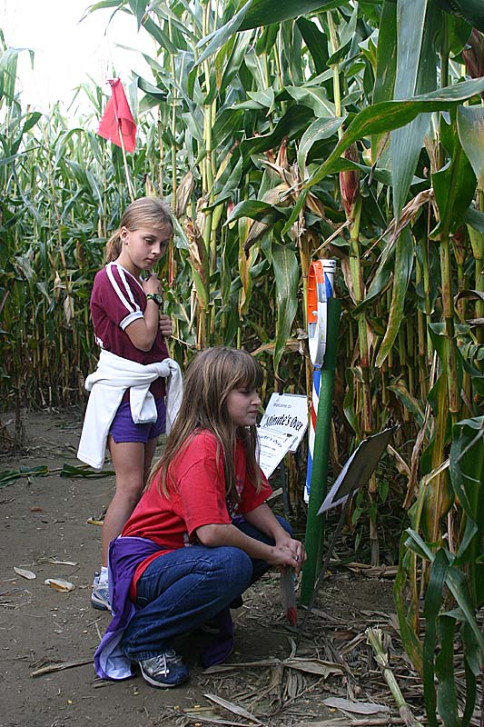 01 first stop in the the maze