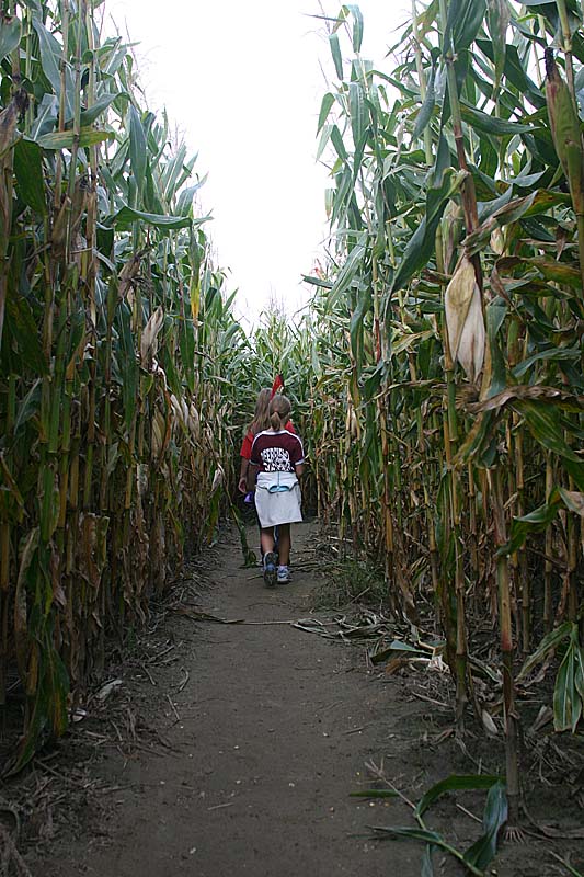 04 walking down the path