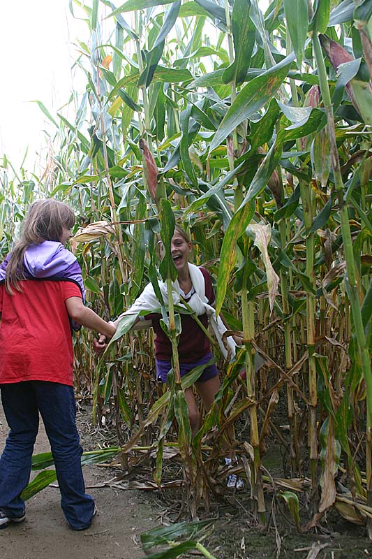 07 Rebecca pulls her friend through the corn