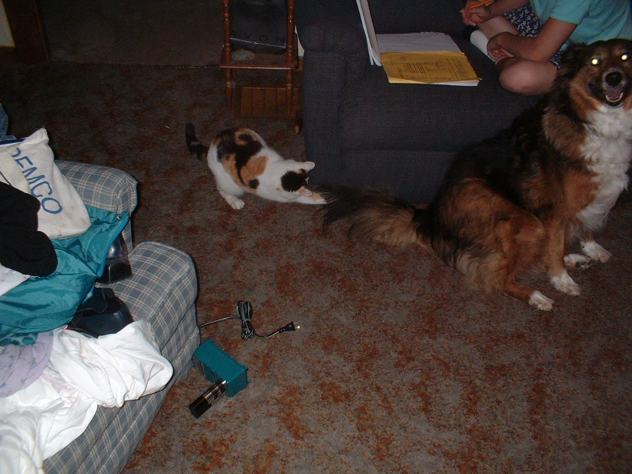 01_Fluffy_attacking_Millie