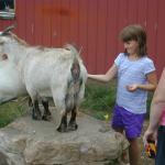 40_Rebecca_feeding_the_other_goat