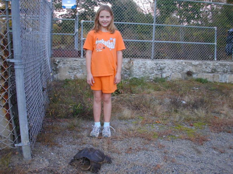 09_turtle_and_Meghan