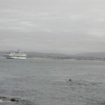 15 Mercury cruise ship in Monterey Bay Bay