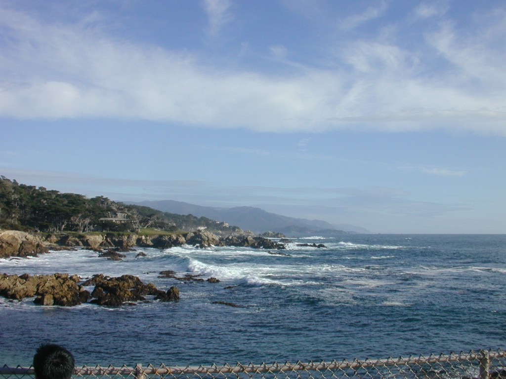 35 waves near Cypress Point