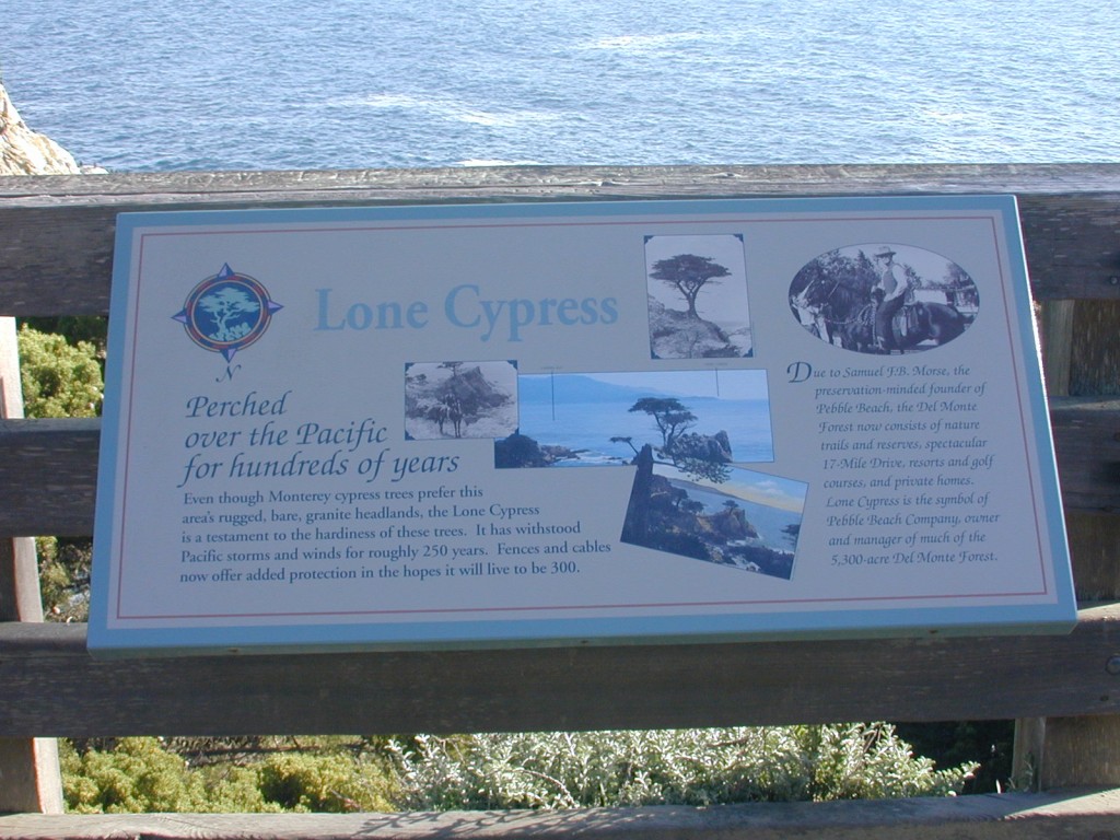 36 Lone Cypress sign