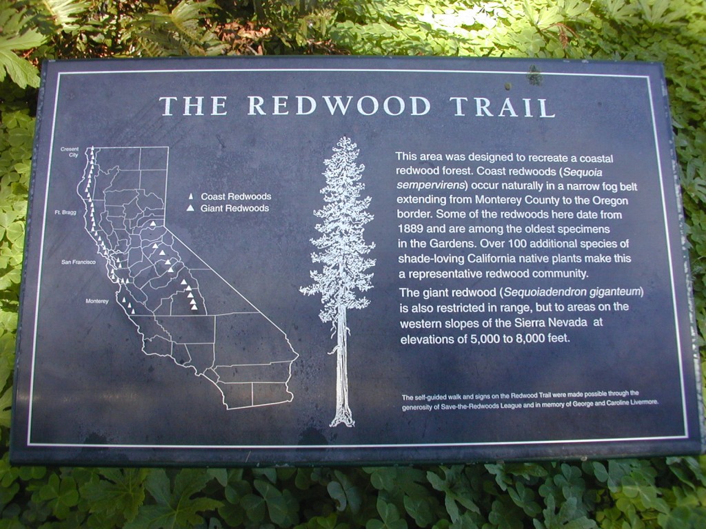 01 redwood sign Golden Gate Park