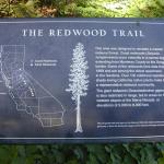 01 redwood sign Golden Gate Park