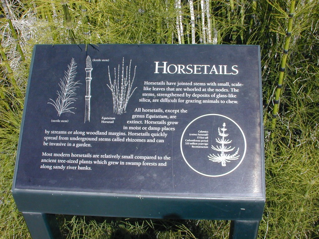 08 horsetails sign Golden Gate Park