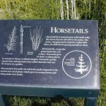 08 horsetails sign Golden Gate Park