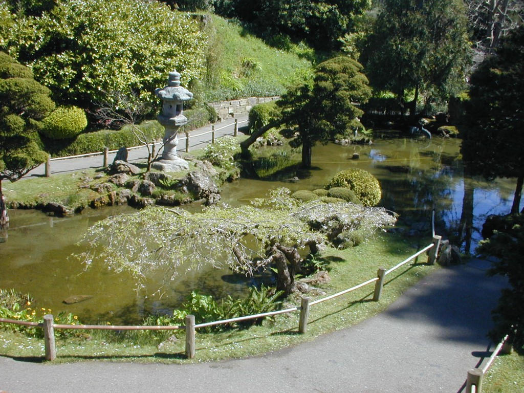 12 Japanese Tea Garden in GGP