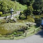 12 Japanese Tea Garden in GGP