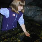 07_Rebecca_Holding_Starfish