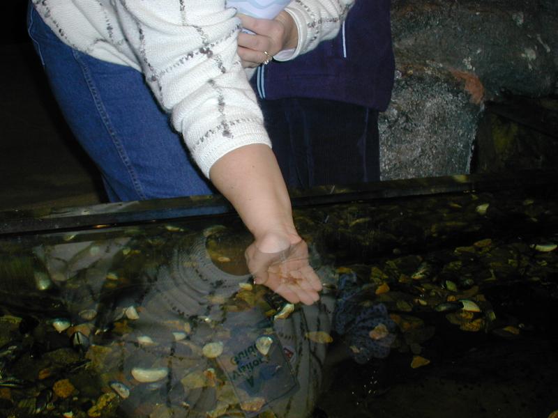 08_Jen_Holding_Starfish