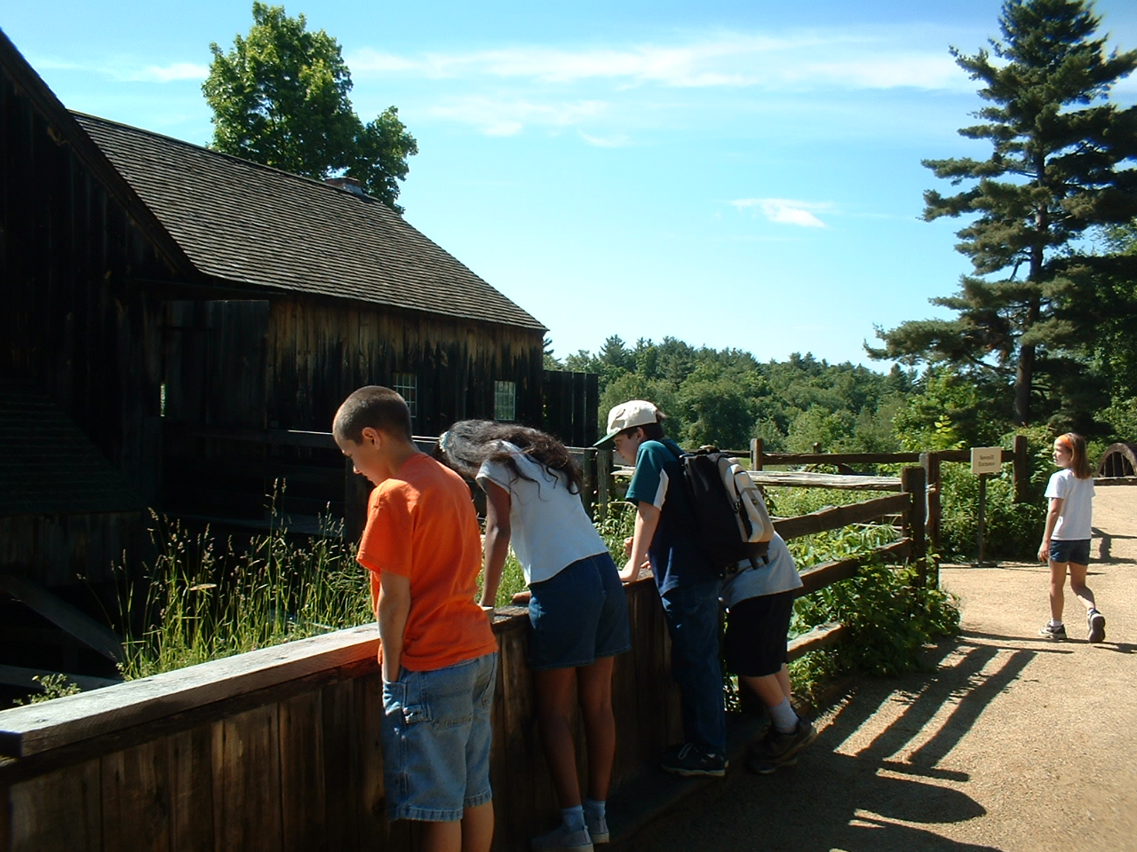 00_looking_at_the_sawmill