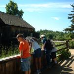 00_looking_at_the_sawmill