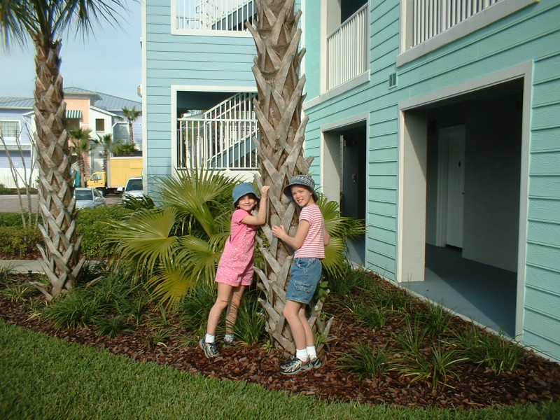 05 Rebecca And Kasey Hugging A Palm Tree