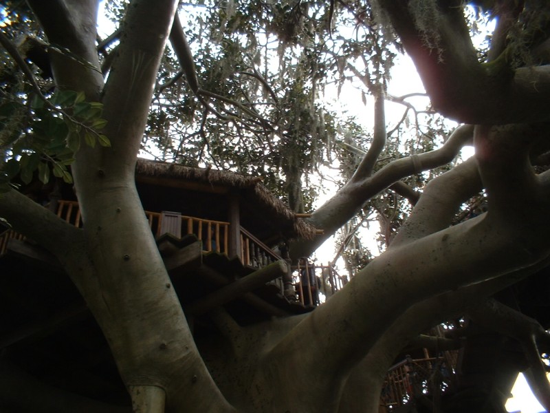 27 Swiss Family Treehouse