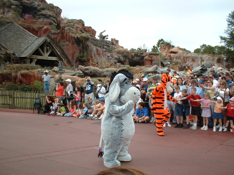 37 Eeyore Tigger