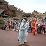 37 Eeyore Tigger