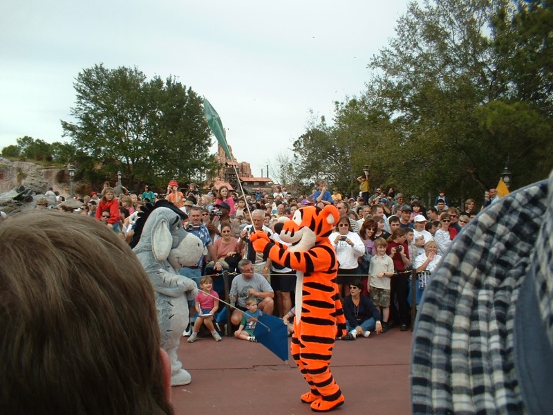 38 Eeyore Tigger