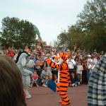 38 Eeyore Tigger