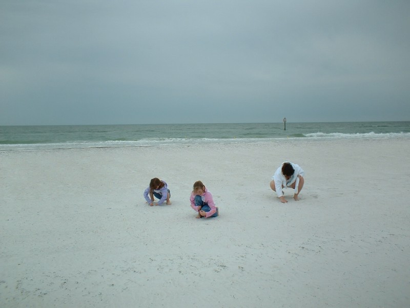 07 Collecting Sea Shells At The Gulf of Mexico