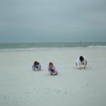 07 Collecting Sea Shells At The Gulf of Mexico