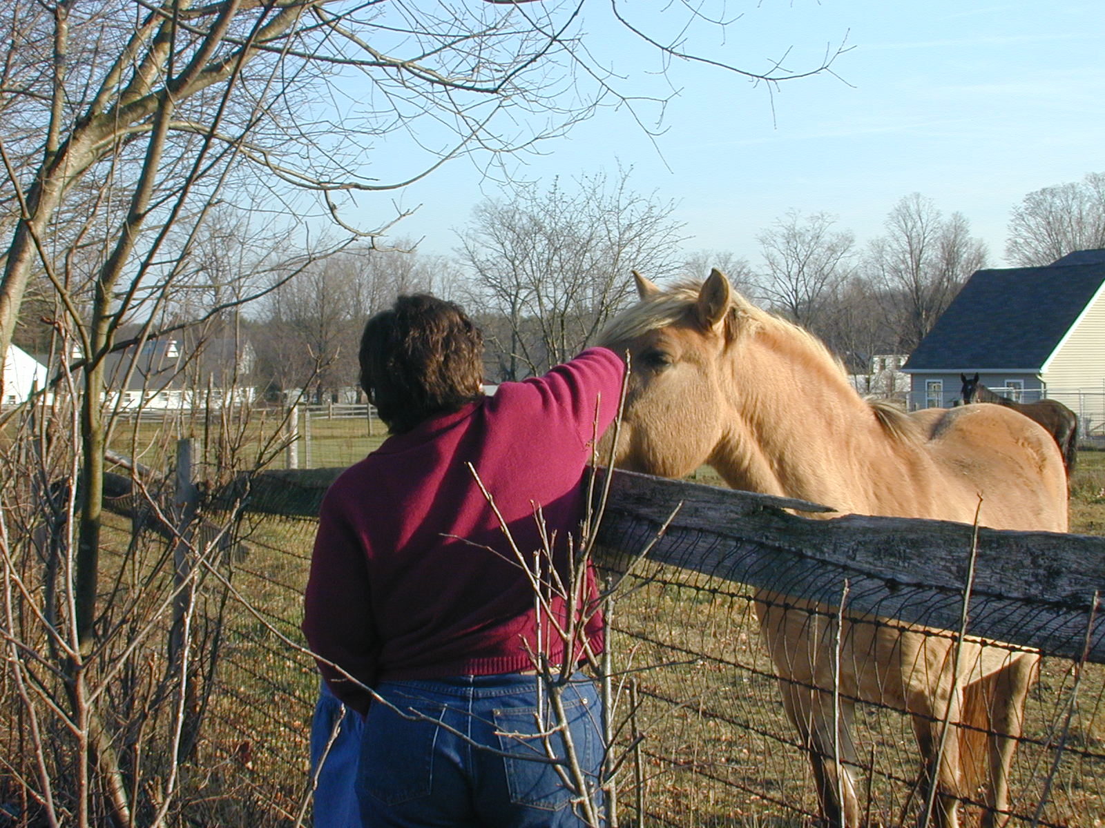 08_Jen_Petting_Horse