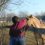 08_Jen_Petting_Horse