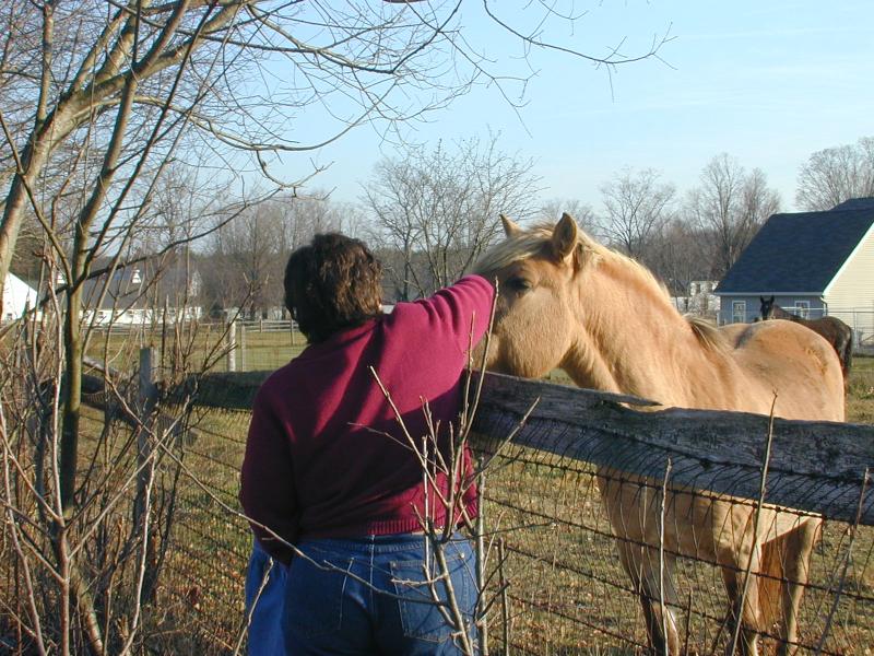 08_Jen_Petting_Horse