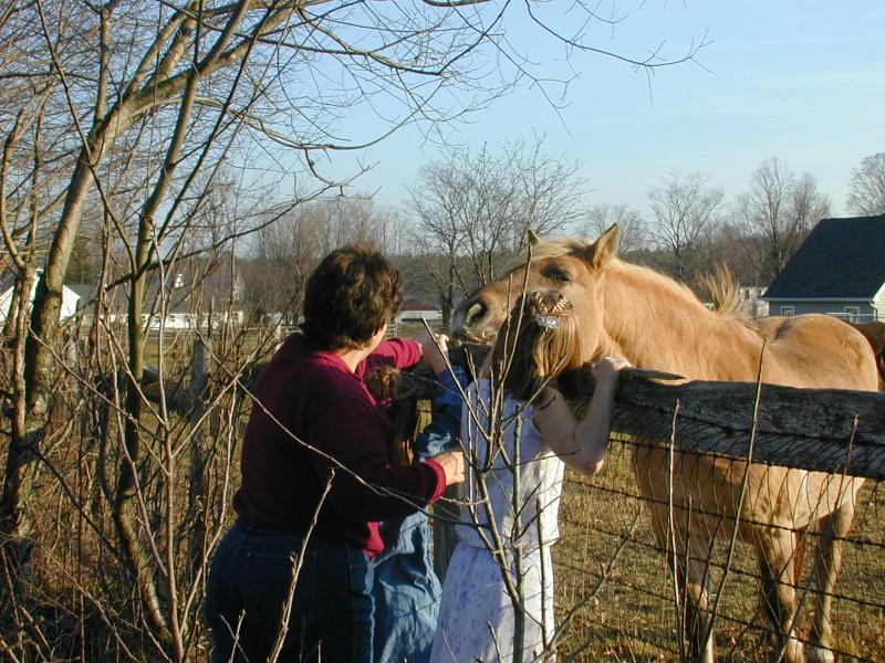 09_Feeding_Horse