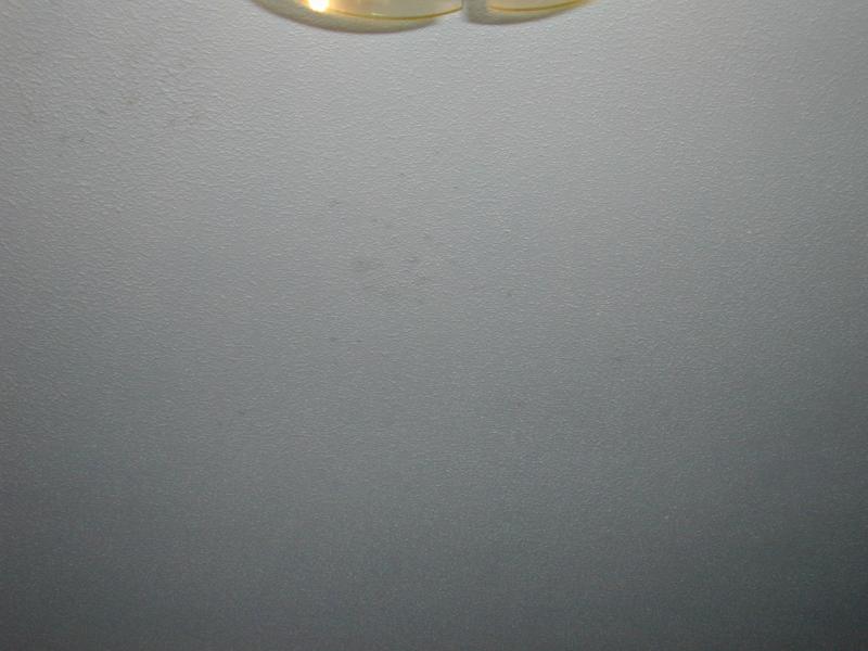 16_Jen_Takes_Picture_Of_Ceiling