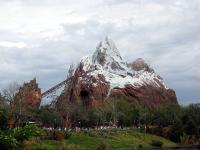 WDW Animal Kingdom February 23