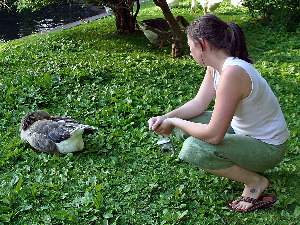 03_Nora_trying_to_pet_the_duck