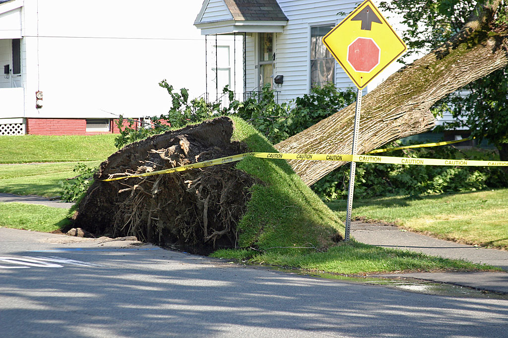 Pierce St, Greenfield, MA