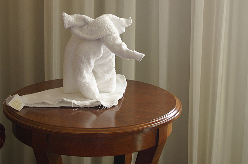 02 towel elephant