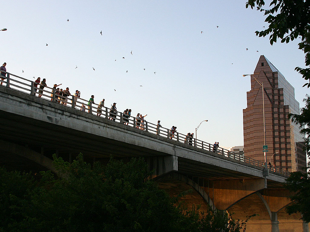 20 people on bridge