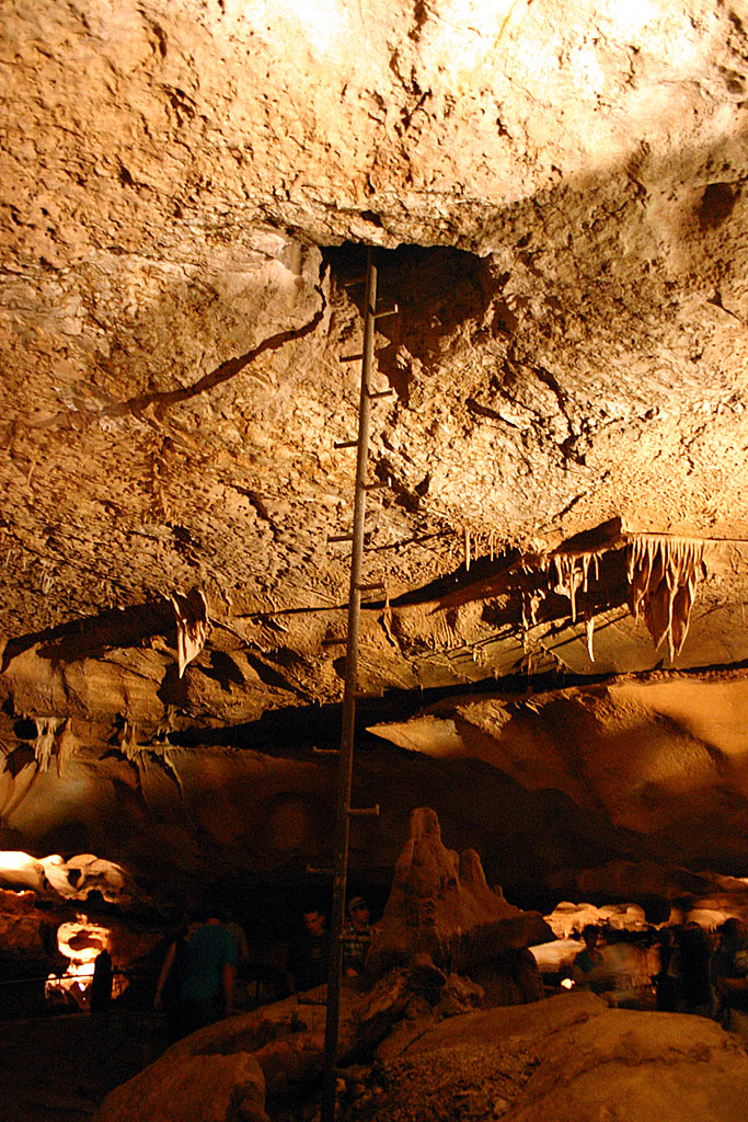 31 ladder in cave