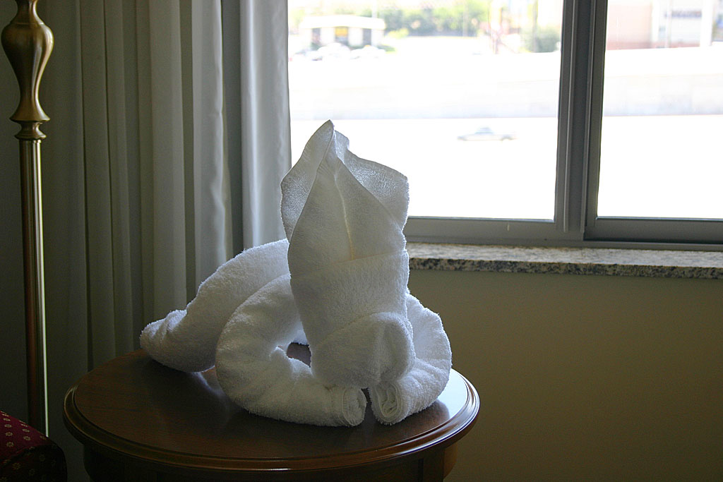 42 towel animal