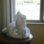 42 towel animal