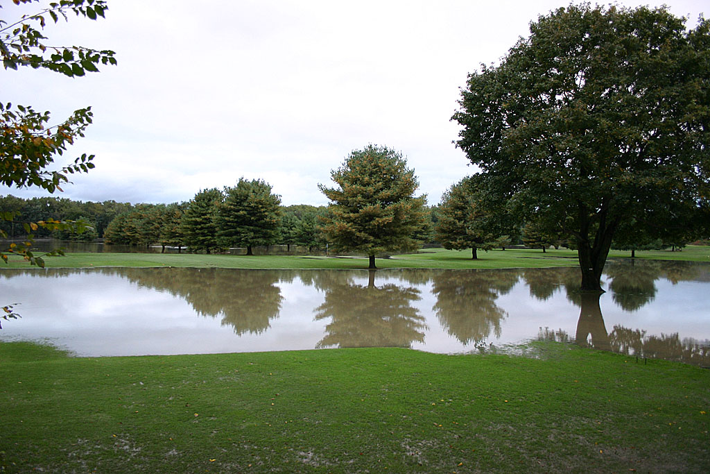 06 meadows golf course