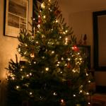 11_Christmas_tree