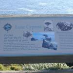 36 Lone Cypress sign