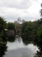 02_Expedition_Everest_ride.jpg