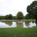 06 meadows golf course